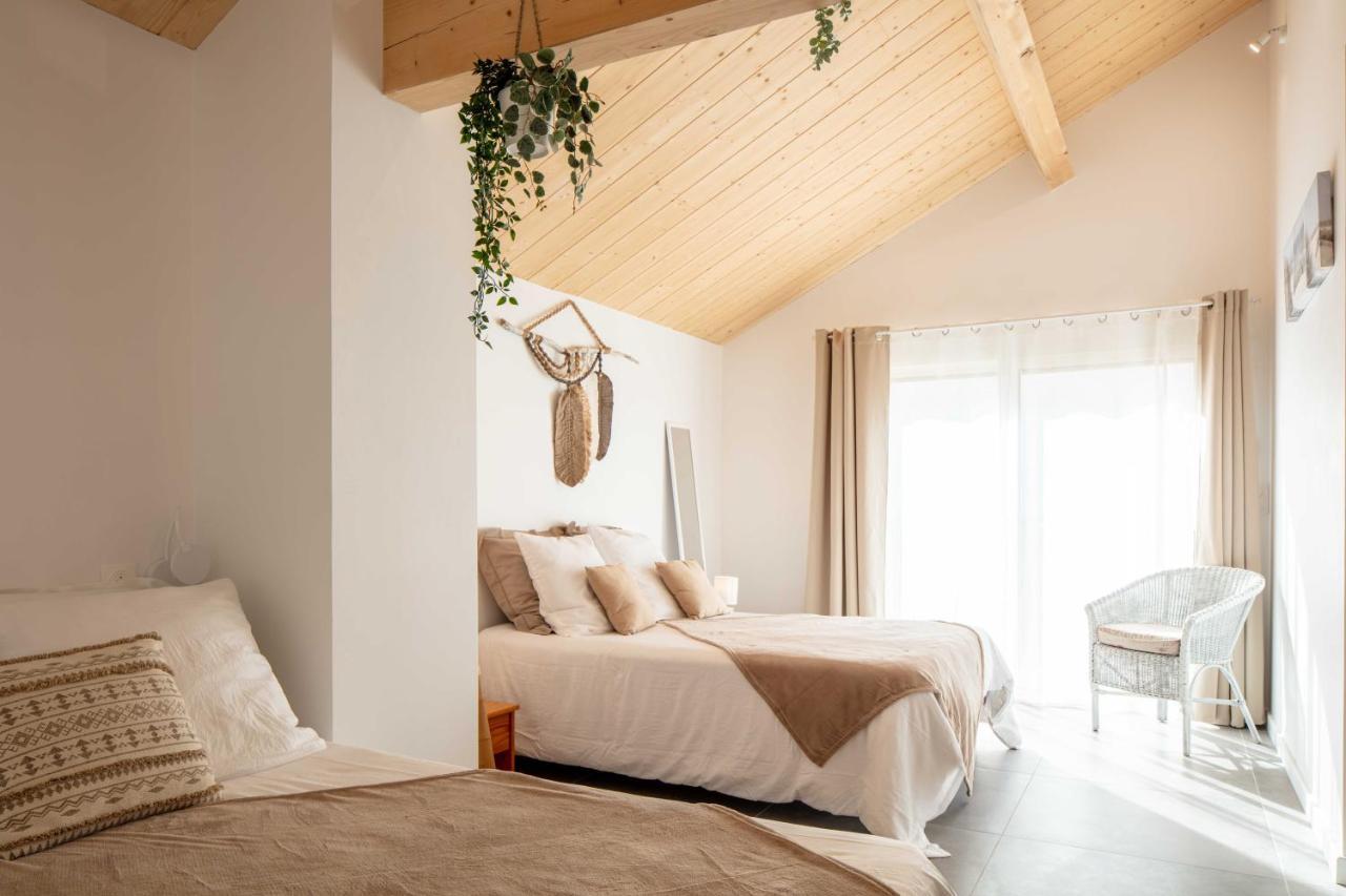 Ted Surf House Acomodação com café da manhã Capbreton Exterior foto